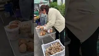 БЕЛЫЕ ГРИБЫ ДАЮТ ЖИТЕЛЯМ ТВЕРСКОЙ ОБЛАСТИ ДОПОЛНИТЕЛЬНЫЙ ДОХОД! #лето #июль2023