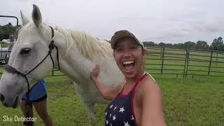 North Carolina Vlog