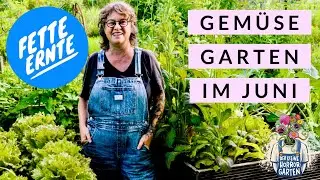 Gartenrundgang - so voll sind meine Hochbeete im Juni I der kleine Horrorgarten