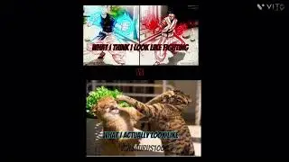 Hi I upload now