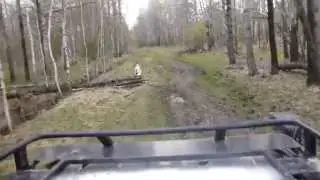 Дорога на Шайтан