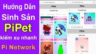 Hướng dẫn cách sinh sản ấp trứng pet trong game pi pet để bán kiếm tiền xu và đồng pi network nhanh