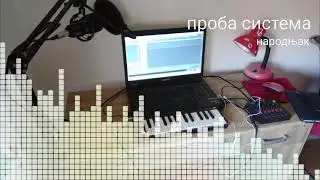 проба
