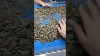 Сложная работа Автор: violettochkkk