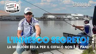 Bolognese Fishing: THE PERFECT BAIT for MULLET IN THE SEA (More Than Bread!) | Sea Bolo Passion S7E3