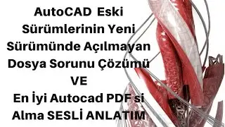 AUTOCAD AÇILMAYAN DOSYA SORUNUNU ÇÖZME+en iyi pdf ama 2017 sesli anlatım