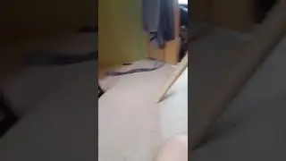 Shitty Cat Scares Herself
