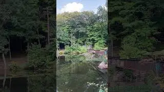 Your 60 Seconds of NJ Zen, Old Dam Bridge Crossing, Millburn NJ #njzen #millburnnj #njlandmarks