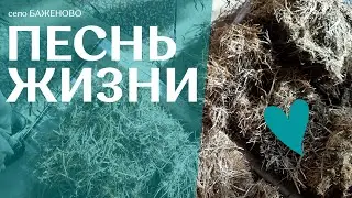 Песнь жизни села Баженово