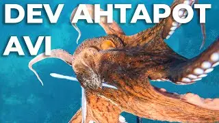 DEV AHTAPOT SEZONU AÇILDI - Zıpkınla Balık Avı Vlog - 28