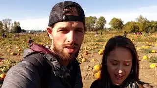 Lost (In a Corn Maze)