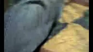 Wake up jose!