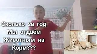 Сколько стоит корм животным за год???