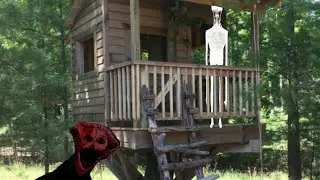 The Boiled One and The Boy sing Treehouse (Phen 228 and Guilt sing Treehouse)
