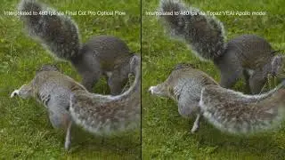 Sony RX10 IV 240 fps to 480 fps Interpolation Test (Optical Flow vs Interlake vs Topaz VEAI Apollo)