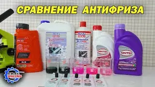 Antifreeze Sintec Multifreeze G 12 - Coolstream JPN - Liqui Moly KFS 11 KFS 12 plus - Comparison