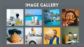How To Make Image Gallery Using HTML, CSS & JavaScript
