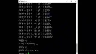 Linux 51 (Word Count Text Processing Commands In Linux)