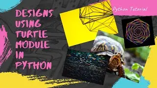 Designs Using Turtle Module in Python