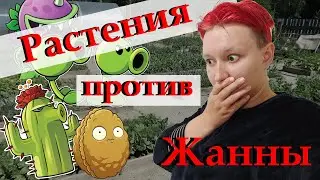 Осень в Австралии ВЛОГ || Сад-огород || Похолодание || Велосипеды