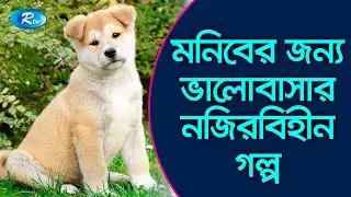 মনিব মারা যাওয়ার ১০ বছর পর্যন্ত যা করেছিল এই কুকুর | Hachiko Dog [New Video]