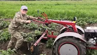 Самодельный дисковый окучник.