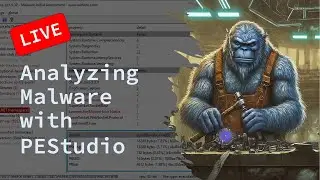 🎥 Analyzing Portable Executable Files with PEStudio