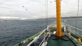 Dolar 15 Tl Yok Yok 20 TL olacakmış MIŞ MIŞ MIŞ