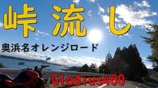 Suzuki Gladius 400 SFV400 | 1st ride on a winding road