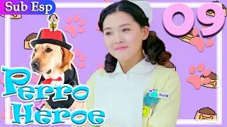 【Sub Español】Perro Héroe EP09 | Hero Dog | 神犬小七