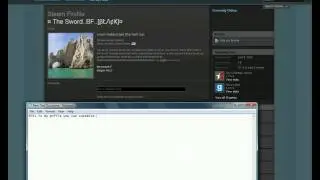 Steam/Profile-Steam Store