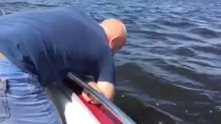 Мосол какая вода......