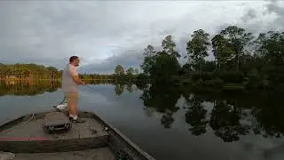 Jerkbaits Catch Bass in the Summer! Summer Jerkbait Strategies #bassfishing #jerkbaits