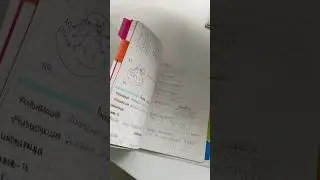 Куда планируете поступать?