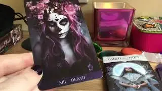 🌙TAROT DE LA NUIT: DECK REVIEW & FLIP THROUGH 🌙