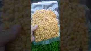 КАК СОХРАНИТЬ ПРИКОРМКУ ДЛЯ РЫБЫ
