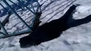 Артёмка прыгнул или Краш-тест Рэда!