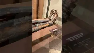 Мумия жреца… прям мурашки по коже 😰 @rimil102