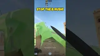 STOP THE B RUSH! 
