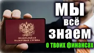 Как избежать налоговой проверки? Реальная история. Проблемы с налоговой.