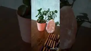 Замок из домино