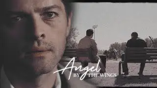 Dean&Cas ~ Angel by the Wings [Collab with Alienated]