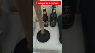 Потеряли пацана #shorts #beer #пивас #пивасик #крафт #портер #stout #тренд #тикток