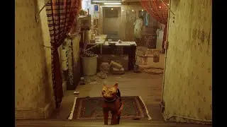ПОМОГАЕМ СВОЕМУ НОВОМУ ДРУГУ, ПРОХОЖДЕНИЕ STRAY #3