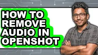 How to Remove Audio in Openshot (easy Method)