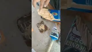 how to repair cricket bat