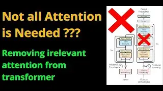 Not all Attention is Needed in Transformers ?!