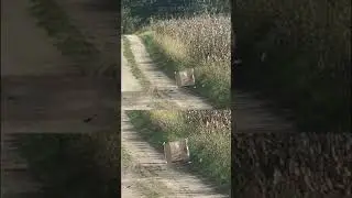 Well L96 Airsoft Sniper első lövés próba