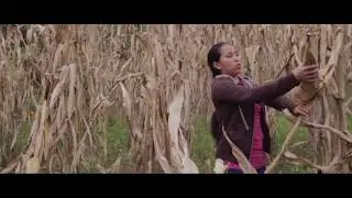 Historia Teresa Sanchez en español