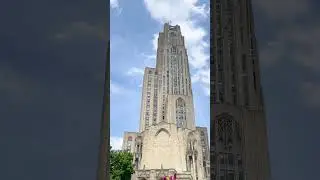 💛💙 #universityofpittsburgh 💙💛